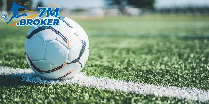 Nền tảng 7M cập nhật tin tức thể thao nhanh chóng