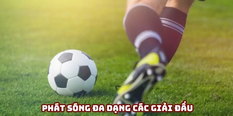 Phát sóng đa dạng các giải đấu