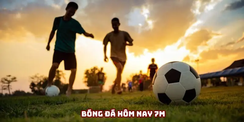 Bóng đá hôm nay 7M đang thu hút người hâm mộ
