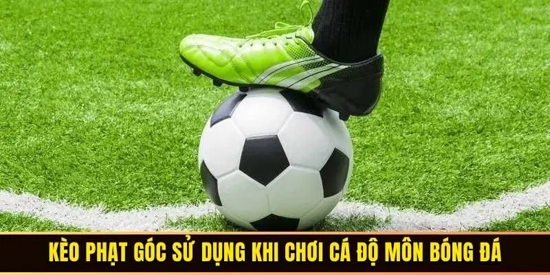 Kèo phạt góc sử dụng khi chơi cá độ môn bóng đá