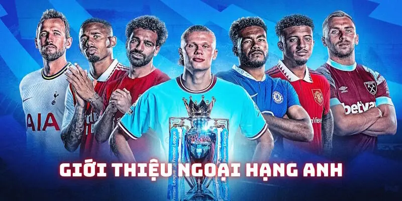 Thông tin giới thiệu Ngoại hạng Anh tổng quan