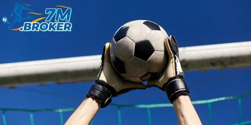 Nhiều nội dung thú vị có ở trang 7M