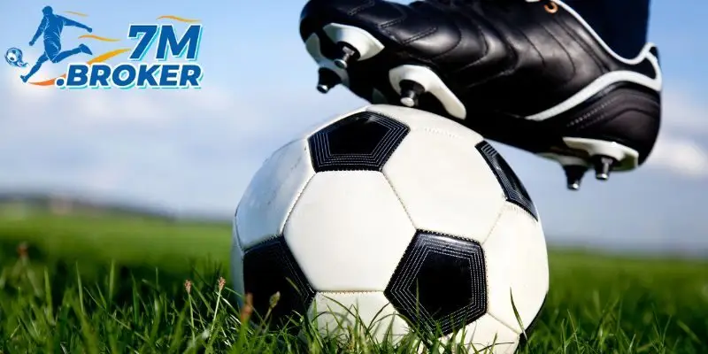 Trang tin 7M mang đến video tóm tắt hấp dẫn