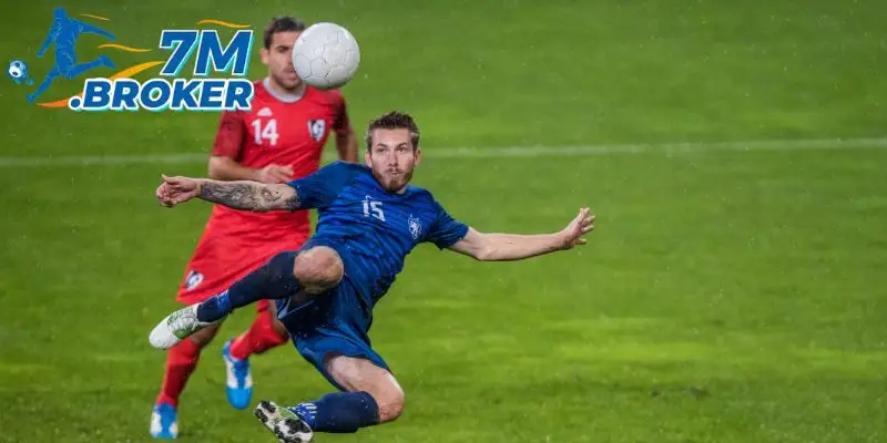 Trang web 7M hoàn toàn không thu phí