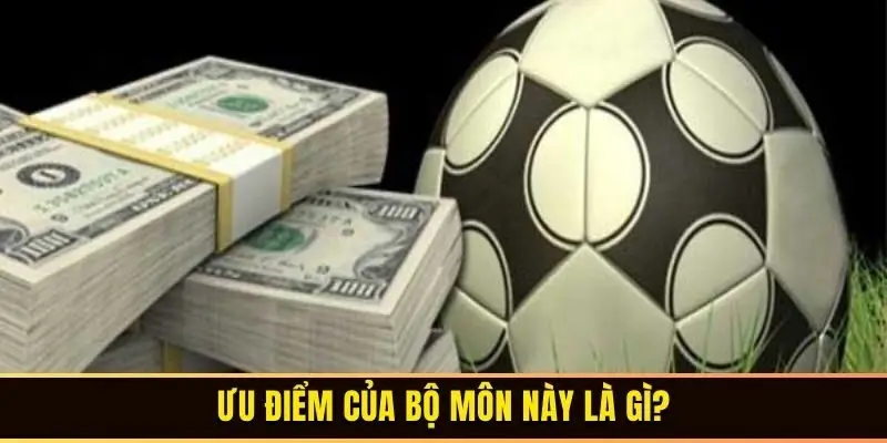 Ưu điểm của bộ môn này là gì?