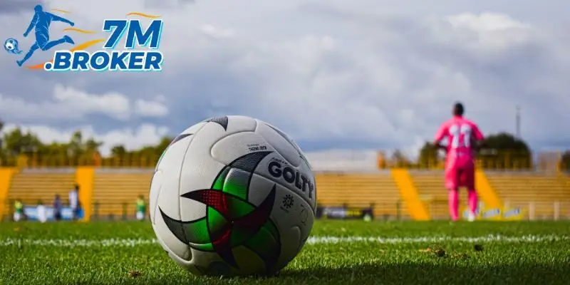 Vài thông tin căn bản về trang tin 7M